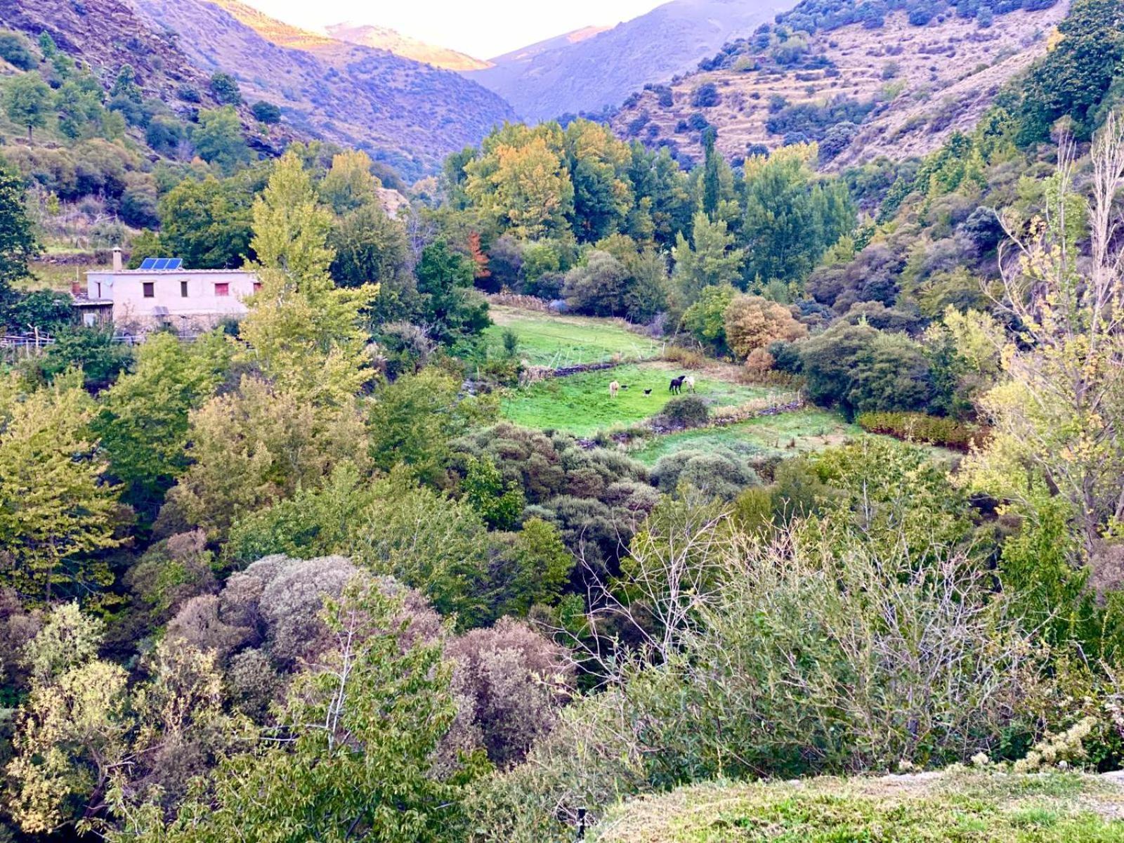 Casa Rural Cortijo Molino Altero Trevélez Exterior photo