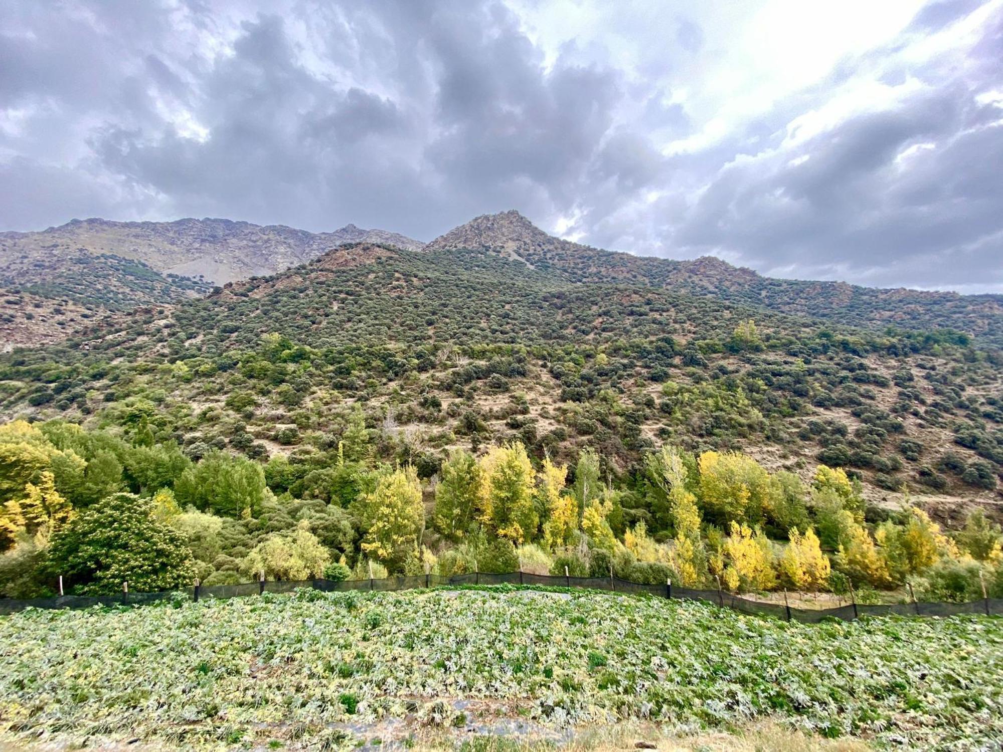 Casa Rural Cortijo Molino Altero Trevélez Exterior photo